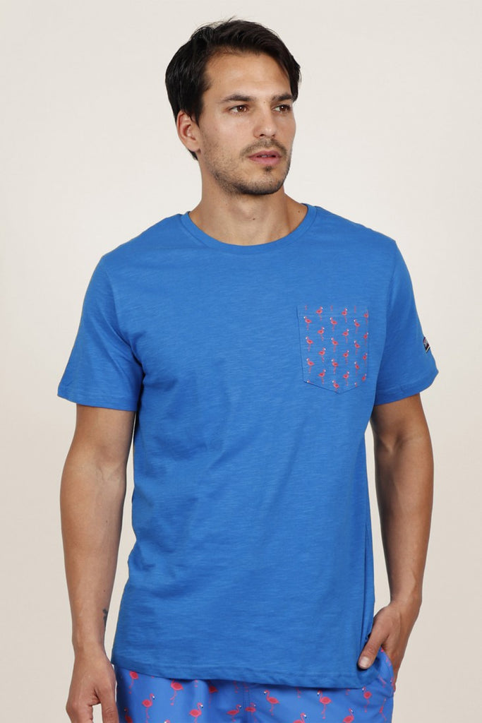 Camiseta manga corta Hombre Flamingos Azul